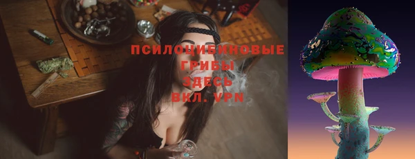 мяу мяу мука Алзамай