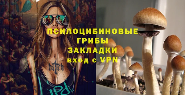 метадон Алексин