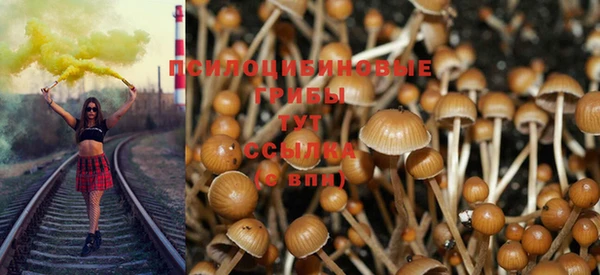 мяу мяу мука Алзамай