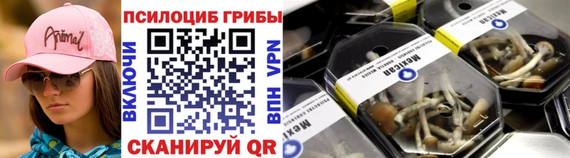 Псилоцибиновые грибы Cubensis Гвардейск
